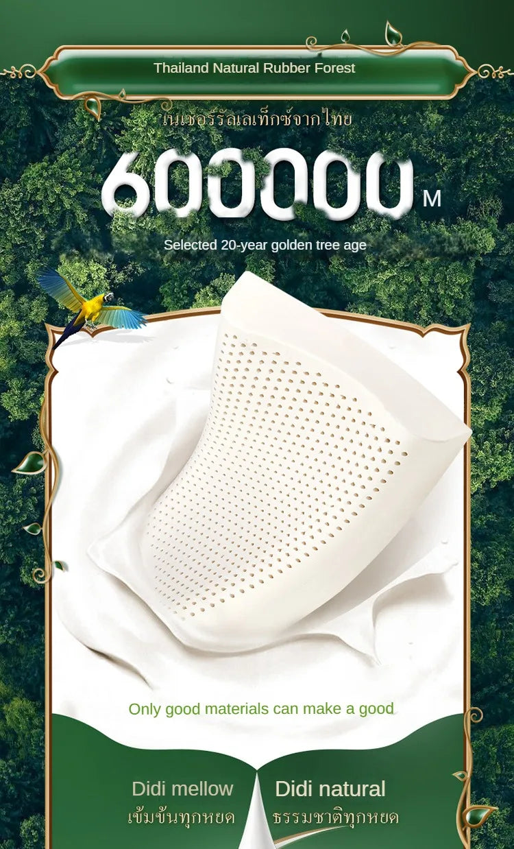 Poduszka lateksowa z Tajlandii TAIHI – naturalny lateks do codziennego użytku
