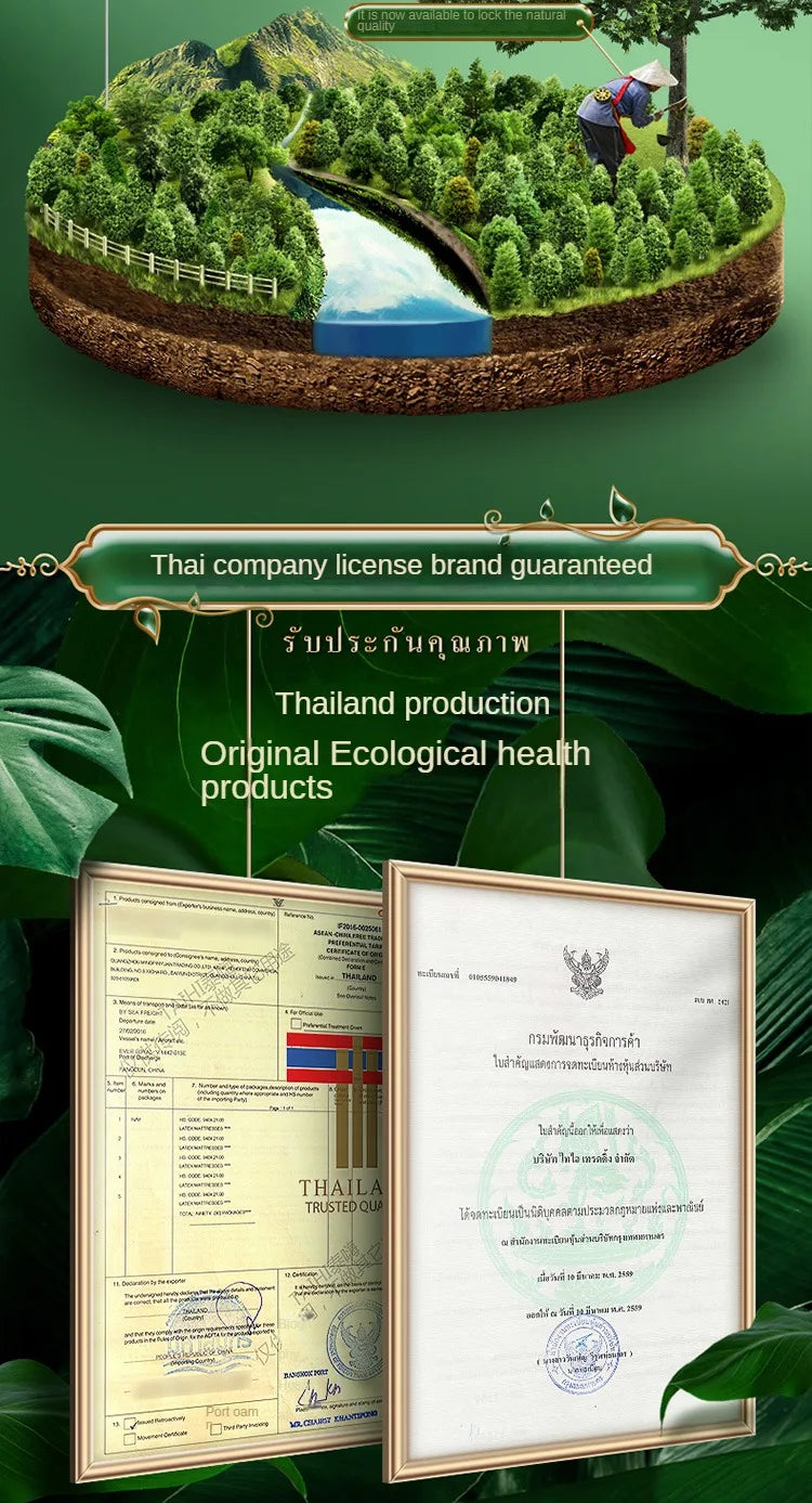 Poduszka lateksowa z Tajlandii TAIHI – naturalny lateks do codziennego użytku