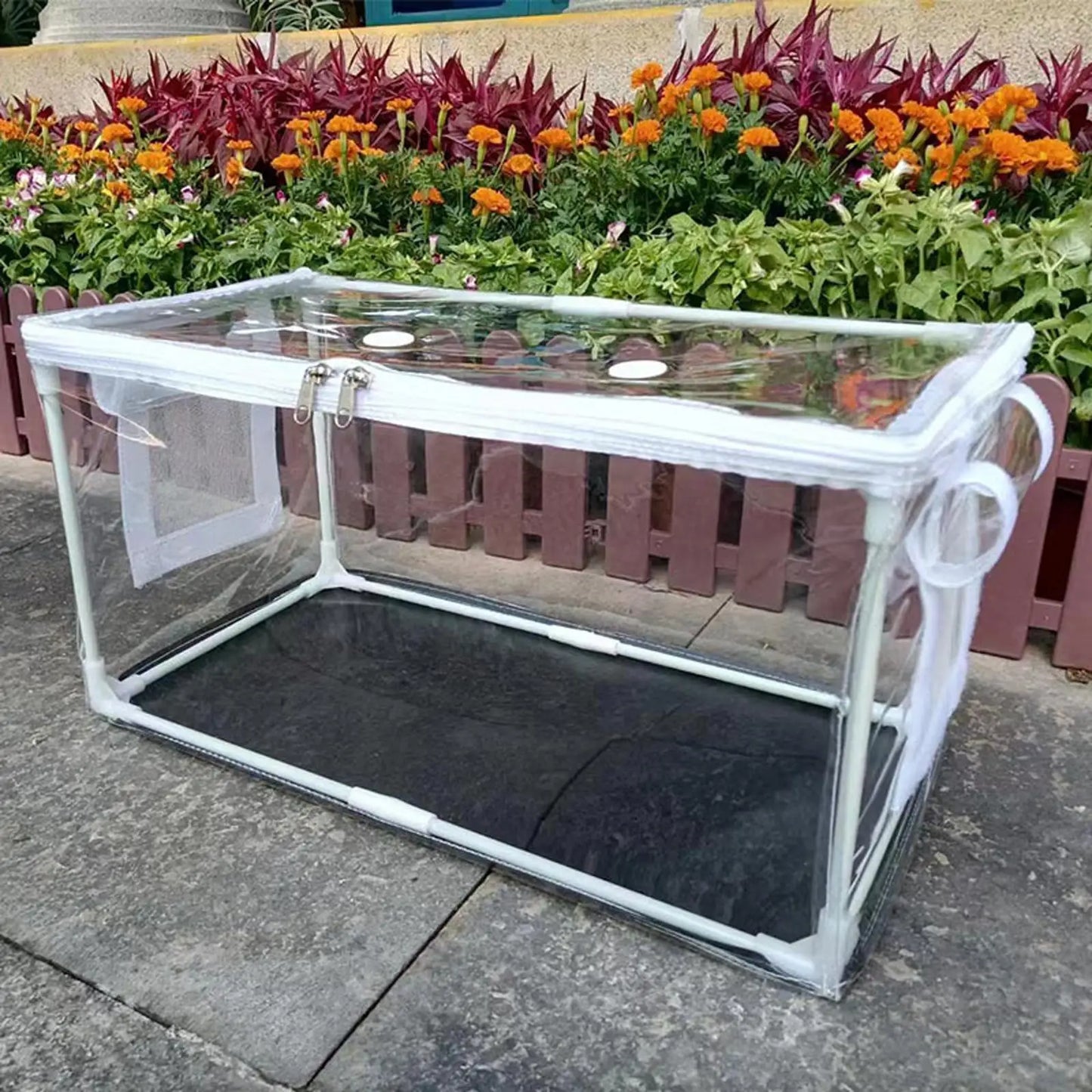 Mini Szklarnia do Uprawy Grzybów-Przezroczysty Namiot do Domowej Hodowli