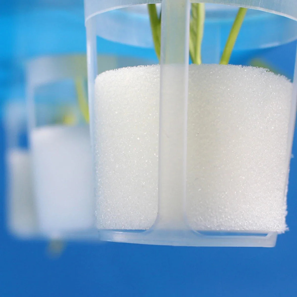 50 szt.Doniczki Hydroponiczne do Uprawy Roślin