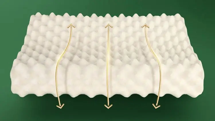 Poduszka lateksowa z Tajlandii TAIHI – naturalny lateks do codziennego użytku