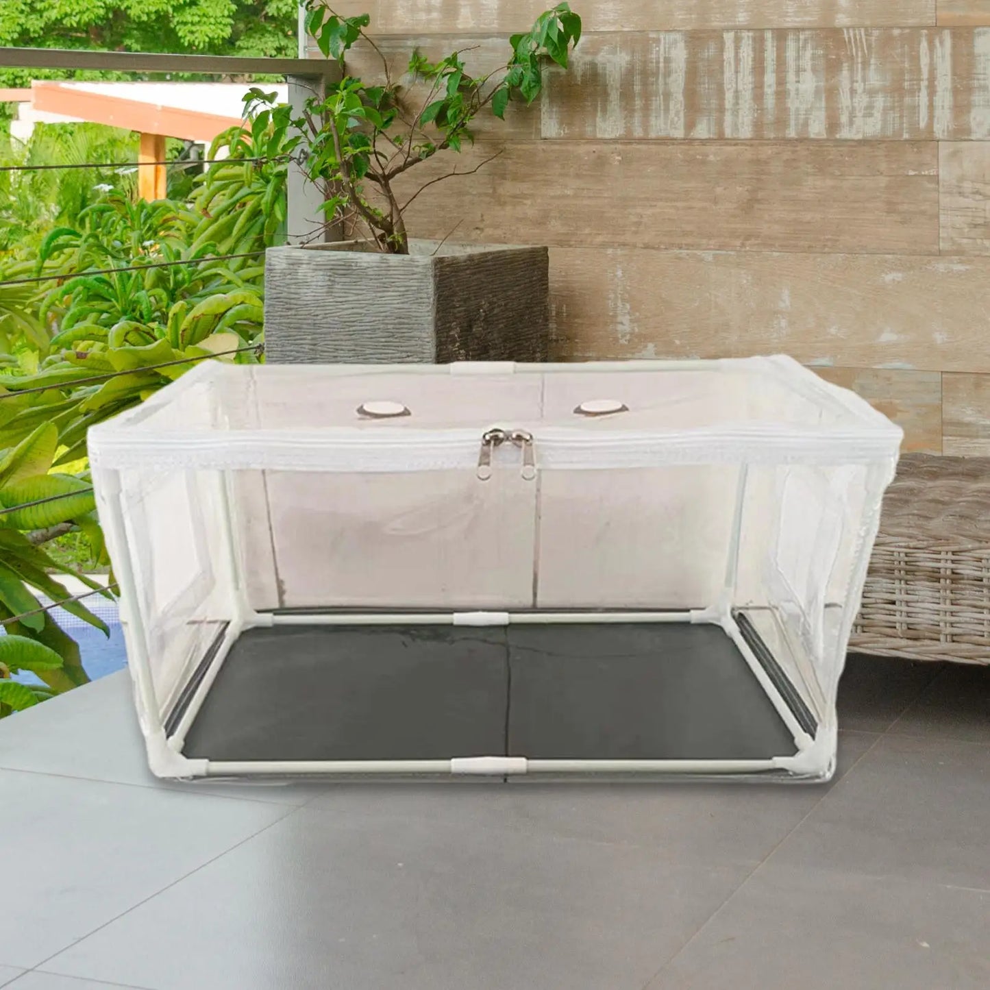 Mini Szklarnia do Uprawy Grzybów-Przezroczysty Namiot do Domowej Hodowli