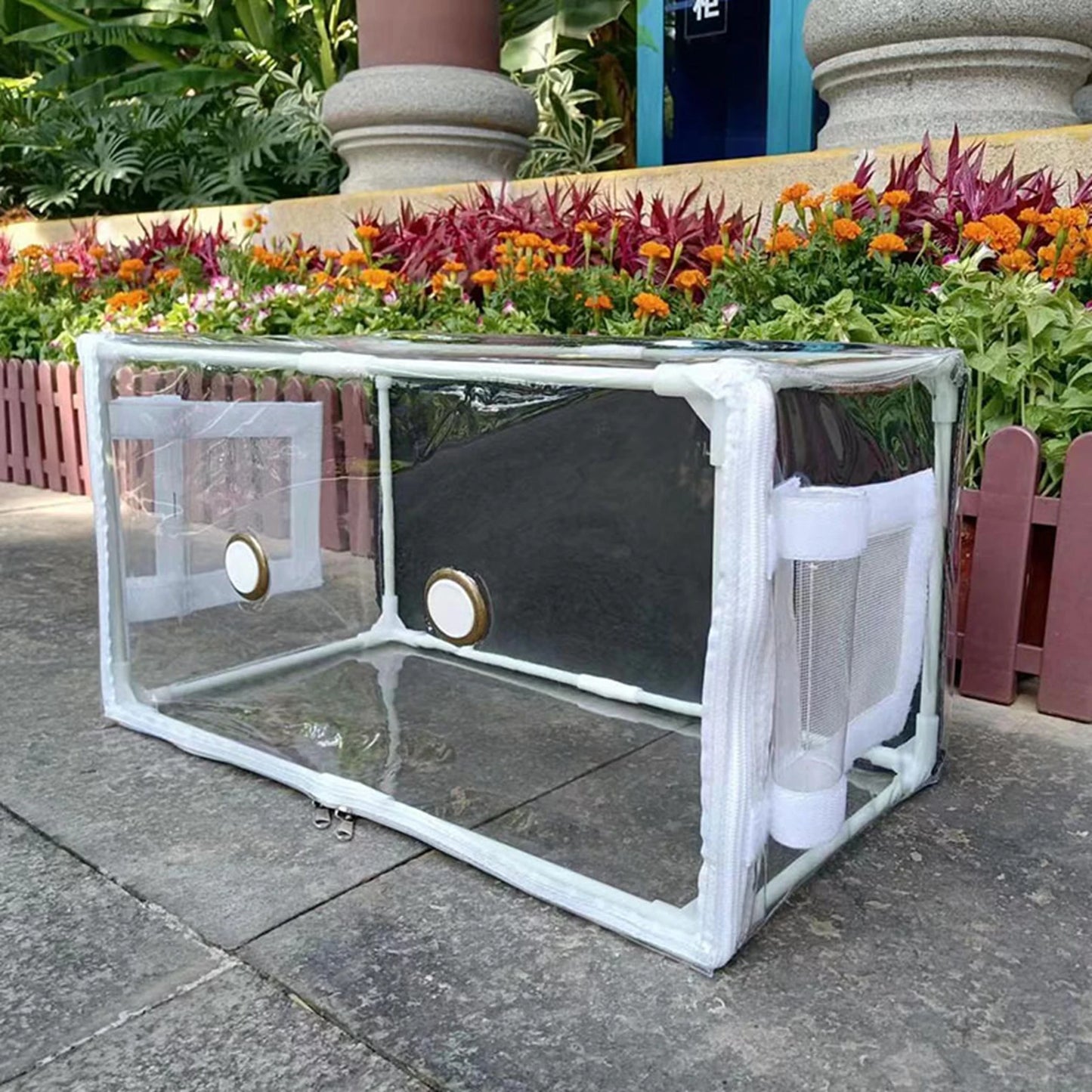 Mini Szklarnia do Uprawy Grzybów-Przezroczysty Namiot do Domowej Hodowli