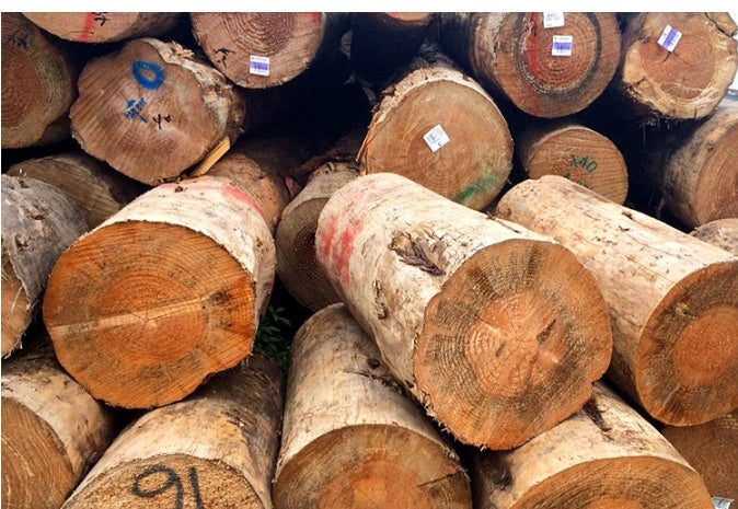 Minimalistyczny Zegar Ścienny z Bambusa-Ręcznie Wykonany